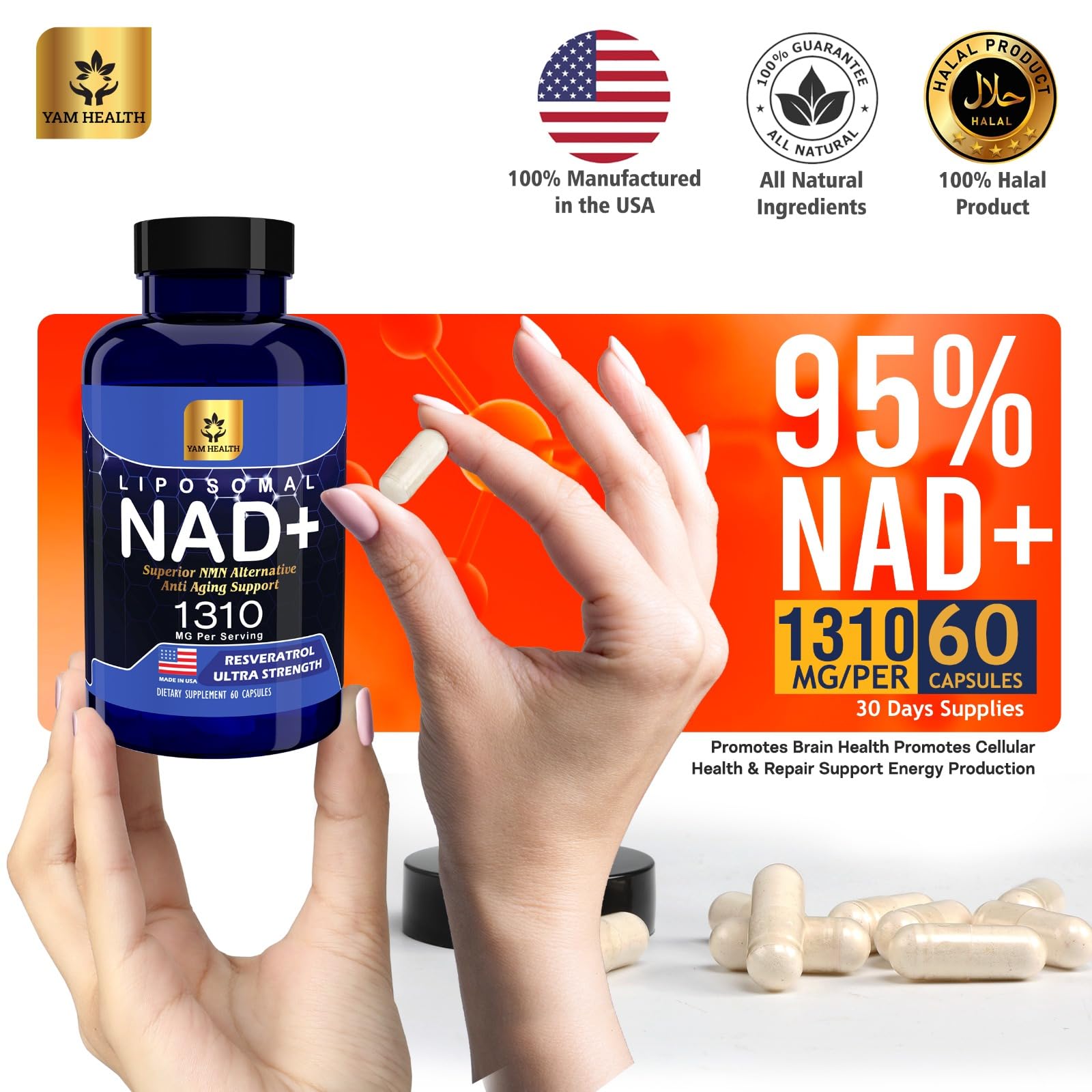Liposomal NAD+ capsules for enhanced absorption