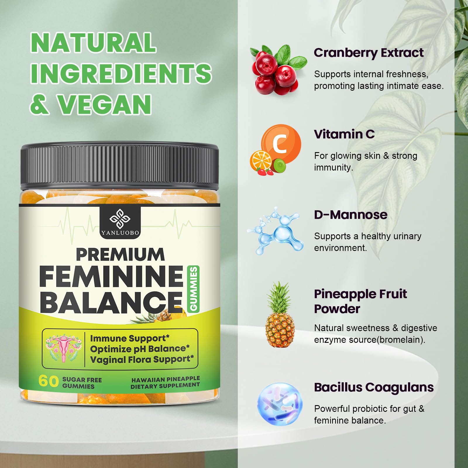 Ingredients highlight: cranberry extract, D-Mannose, Bacillus coagulans