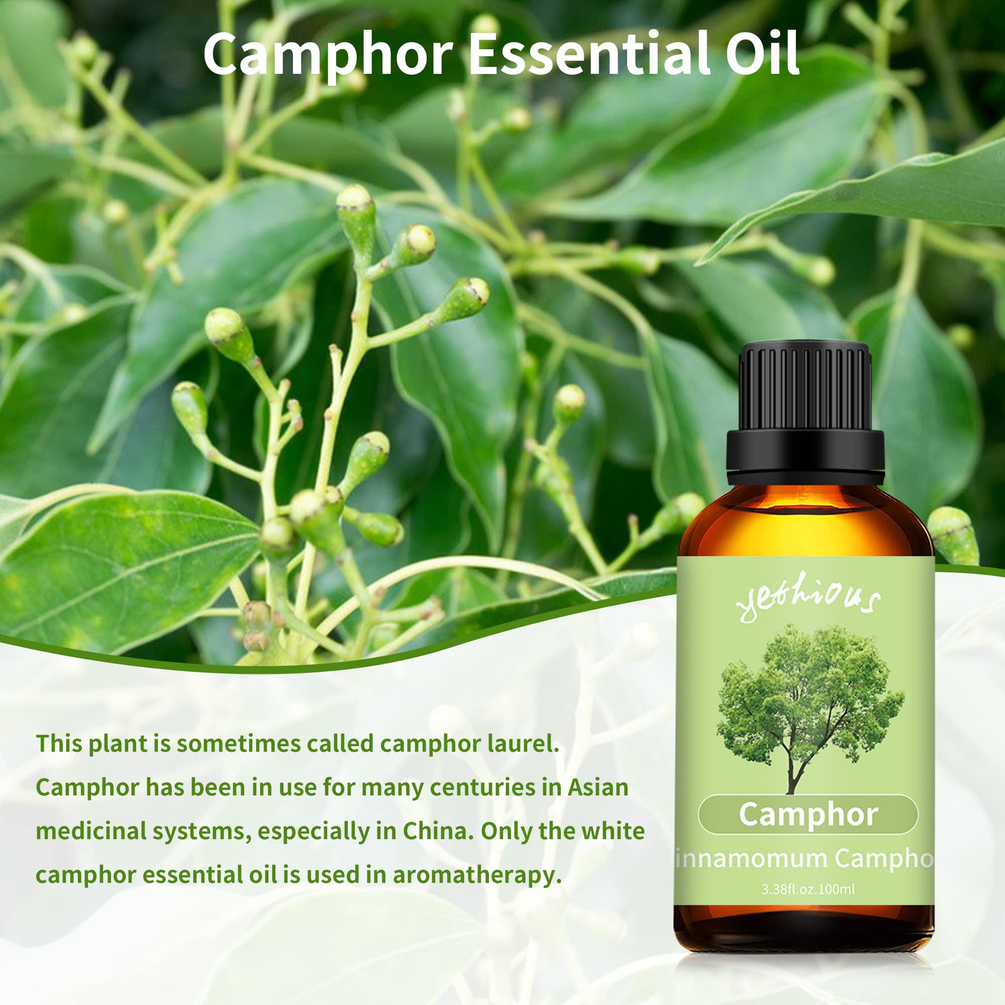 Diffuser with camphor essential oil aroma