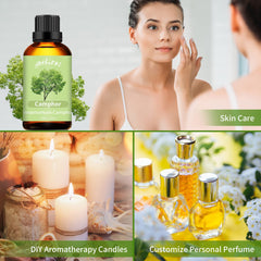Aromatherapy setup with camphor oil in diffuser