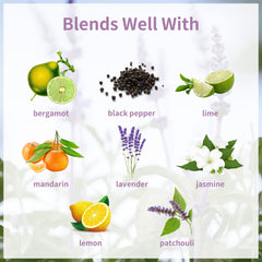 Lifestyle scene with essential oil diffuser and spa setting