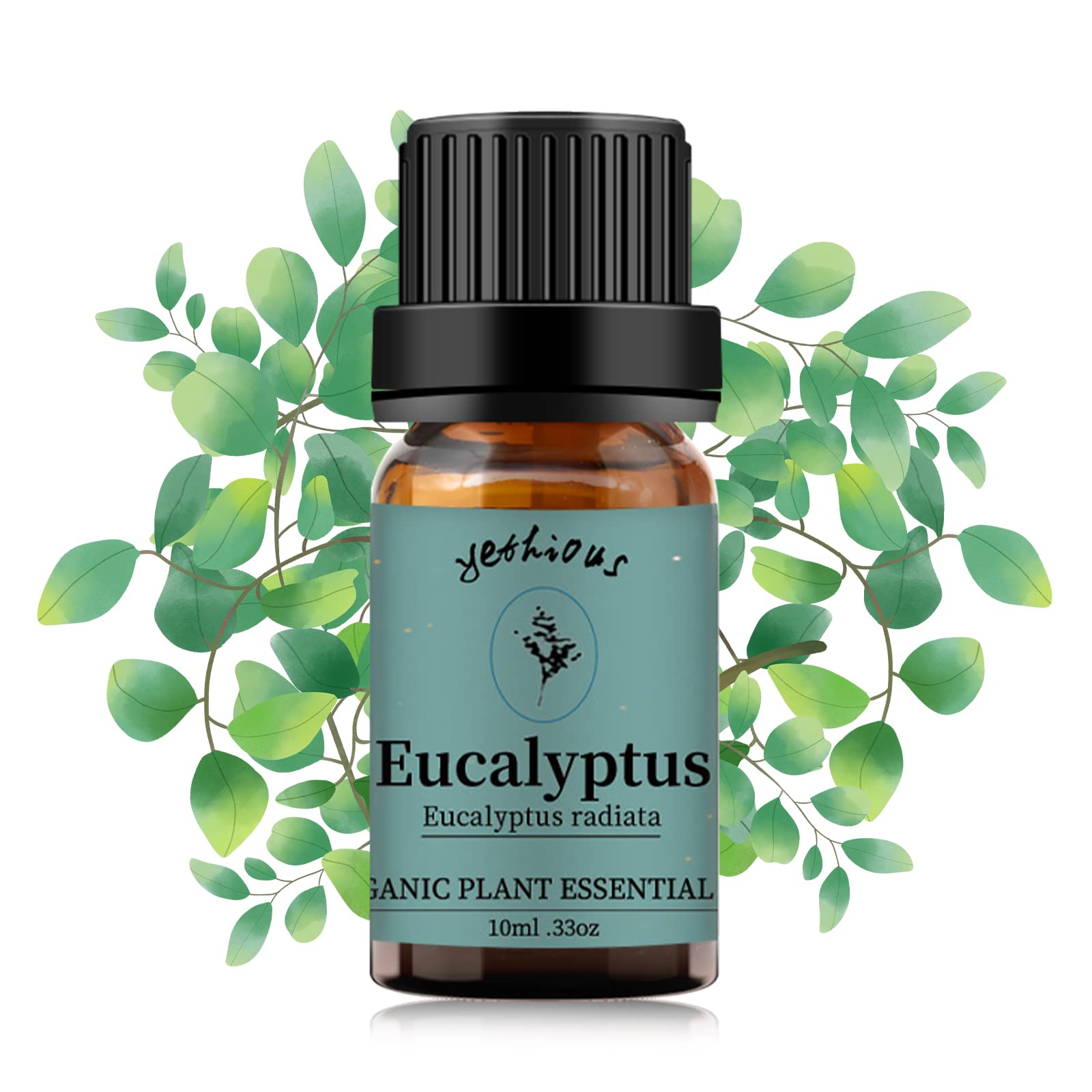 Yethious Eucalyptus Essential Oil 10ml bottle in amber glass