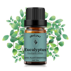 Yethious Eucalyptus Essential Oil 10ml bottle in amber glass