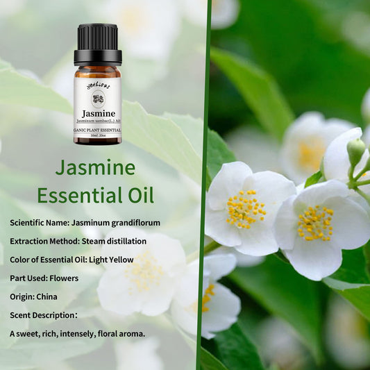 Jasmine essential oil bottle close-up