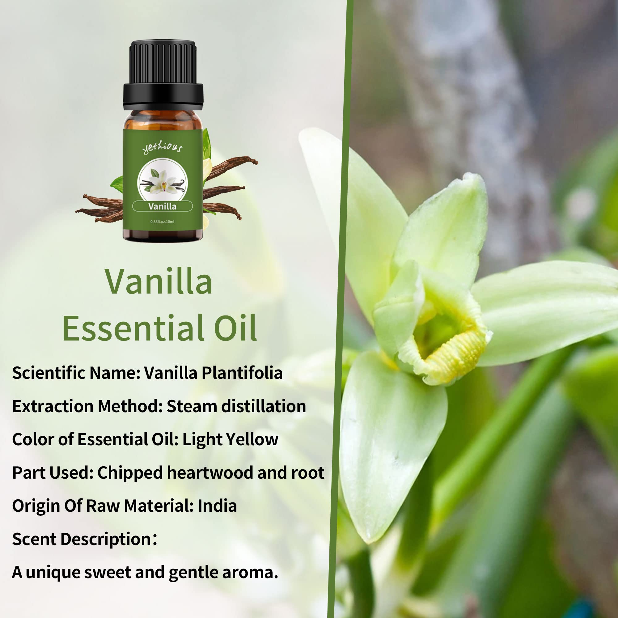 yethious Lavender Essential Oil 10ml bottle