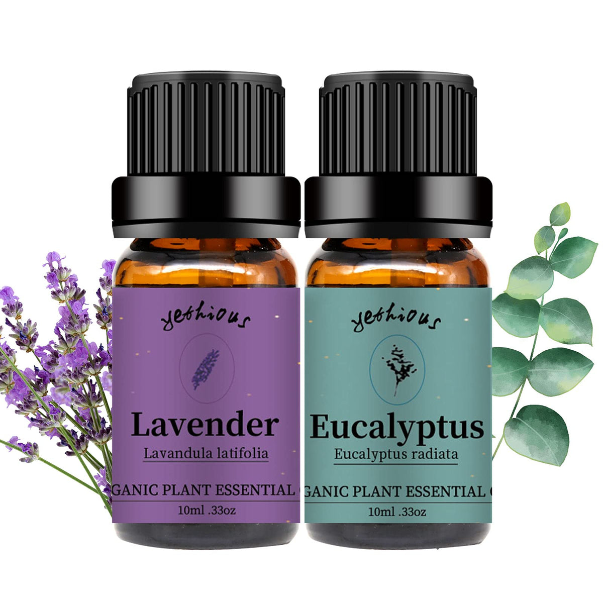 Bottle of lavender essential oil with purple lavender flowers