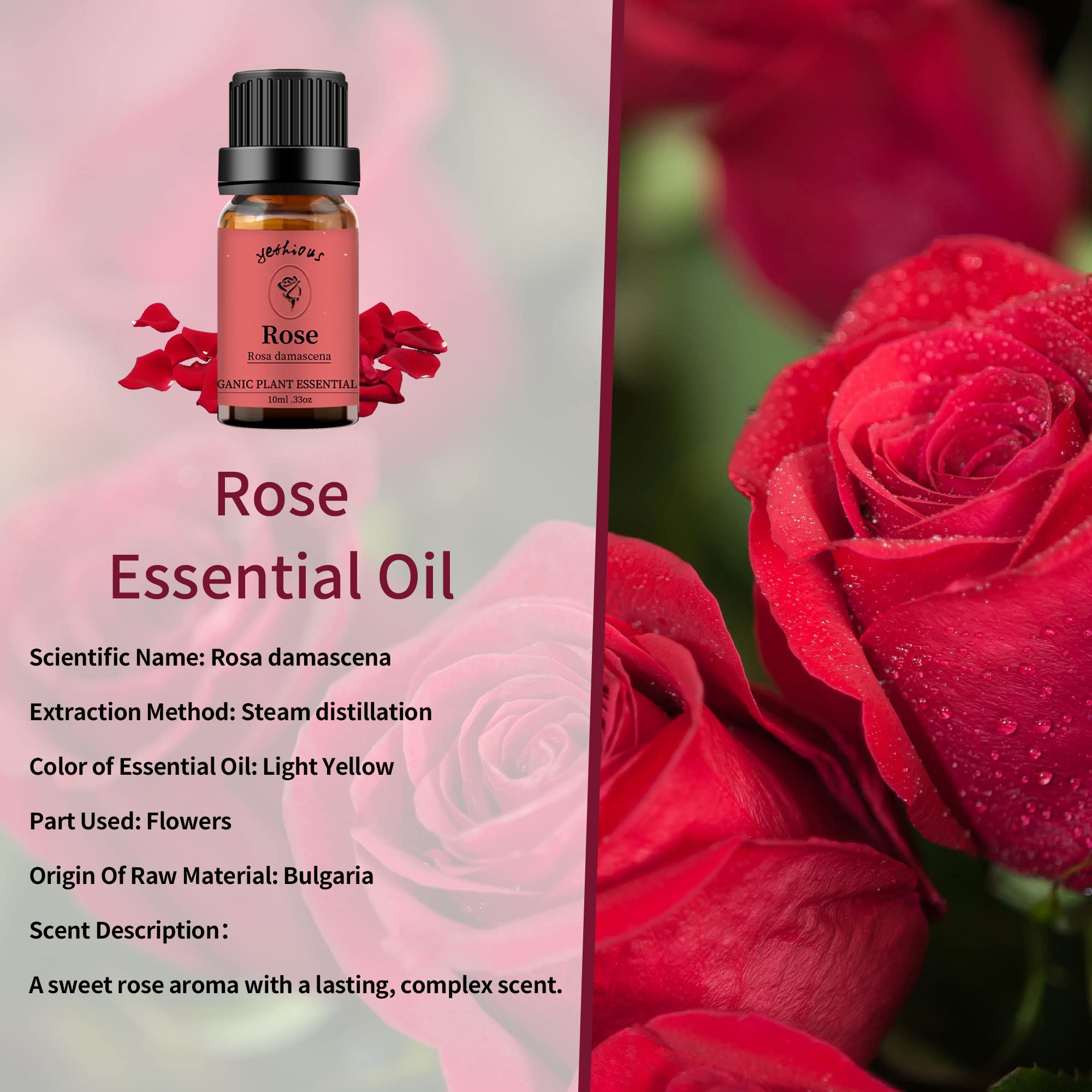 Amber glass bottle of jasmine essential oil (10ml)