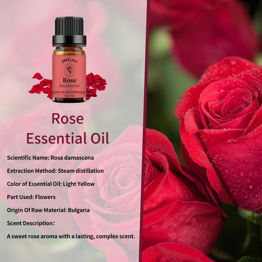 Amber glass bottle of jasmine essential oil (10ml)