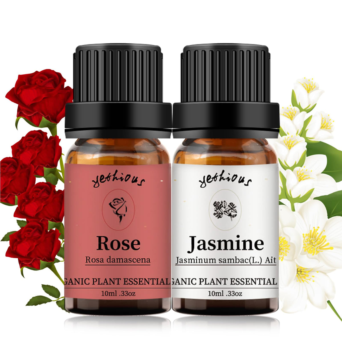 Organic yethious Rose and Jasmine essential oils in amber glass bottles – set of 2 x 10ml