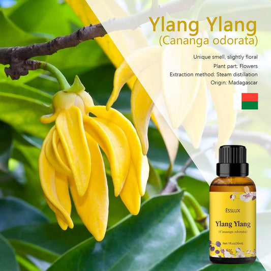 Amber glass bottle of Ylang Ylang essential oil with dropper
