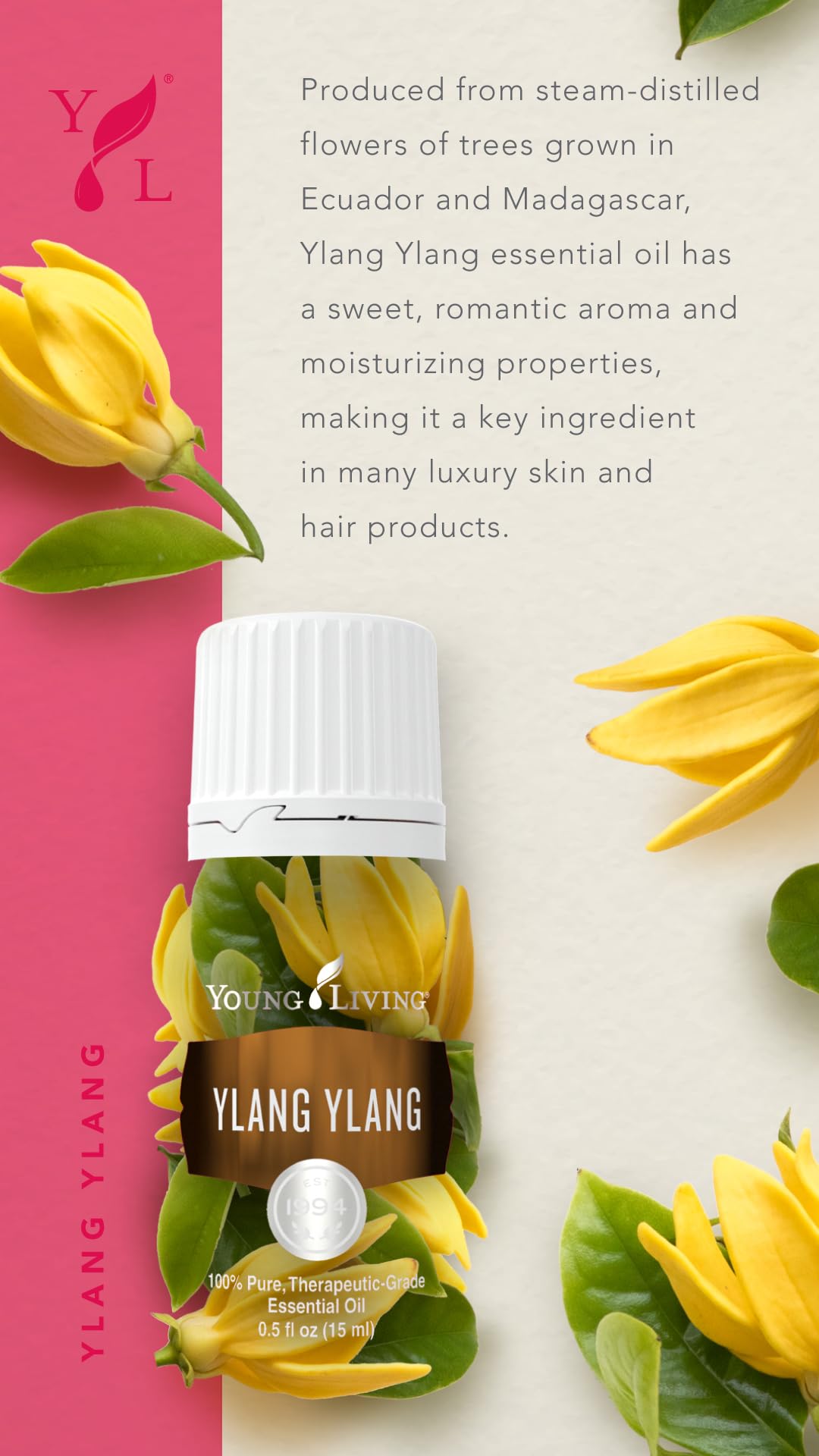 Young Living Ylang Ylang oil floral note closeup highlighting aroma.