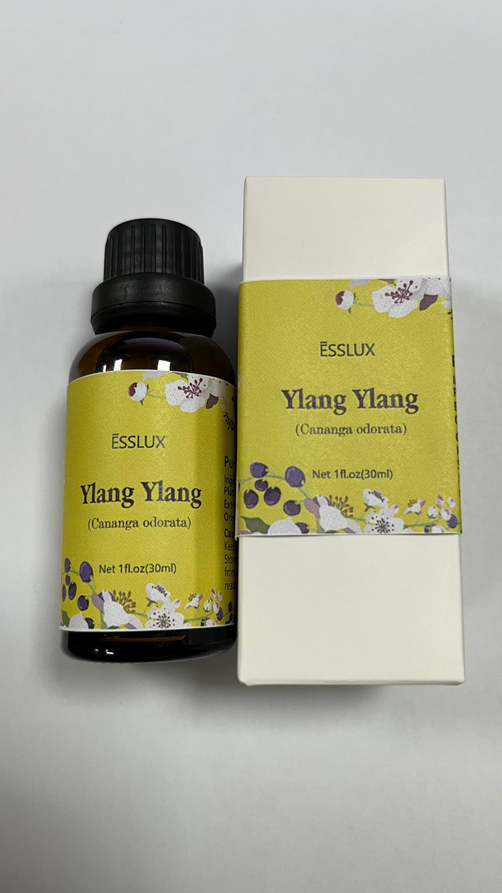 Cananga odorata Madagascar origin Ylang Ylang