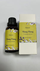Cananga odorata Madagascar origin Ylang Ylang
