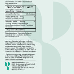 Digestive enzymes concept illustrating nutrient breakdown