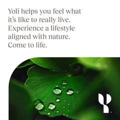 Product shot of Yoli Enzyme capsules with packaging