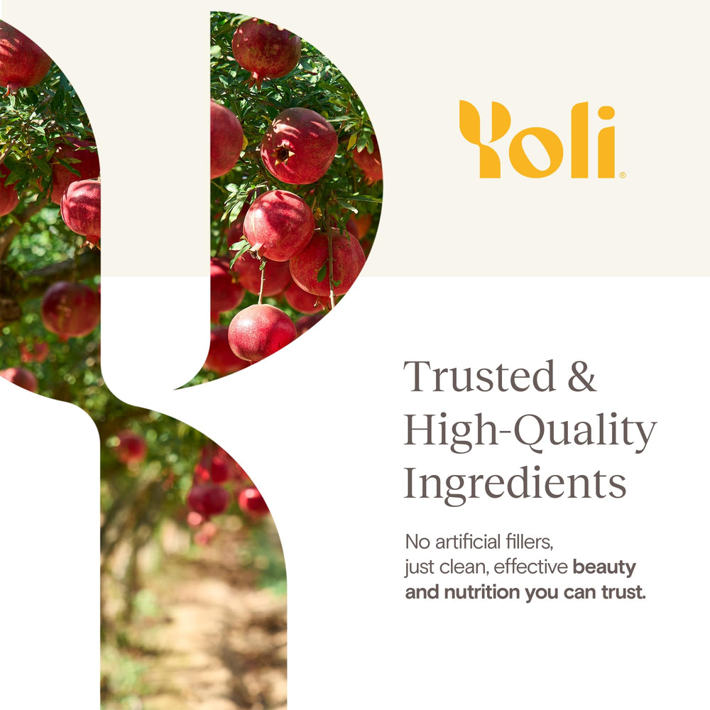 Ginseng, aloe vera, and pomegranate illustration