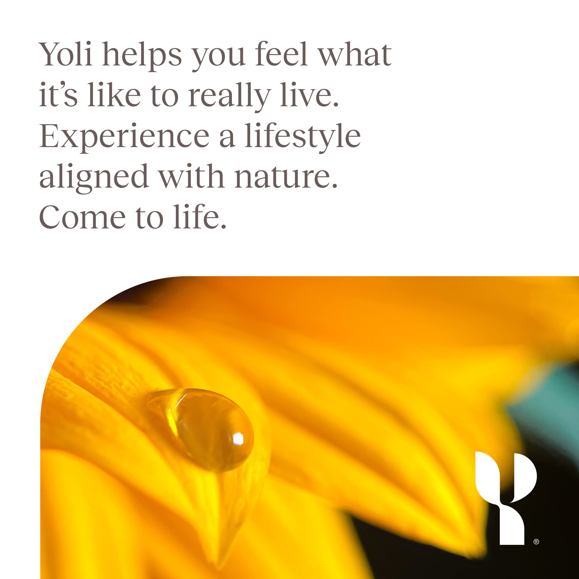 Yoli Resolve nutrition label close-up showing ingredient transparency