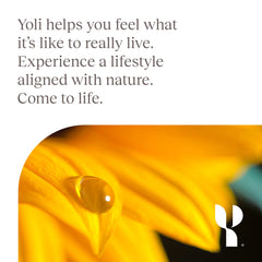 Yoli Resolve nutrition label close-up showing ingredient transparency