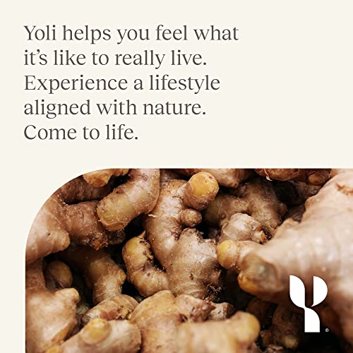 Yoli Flex artwork depicting cartilage protection