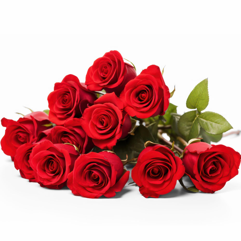 Yoni Rescue Yoni Oil rose fragrance visual suggesting refreshing scent ritual