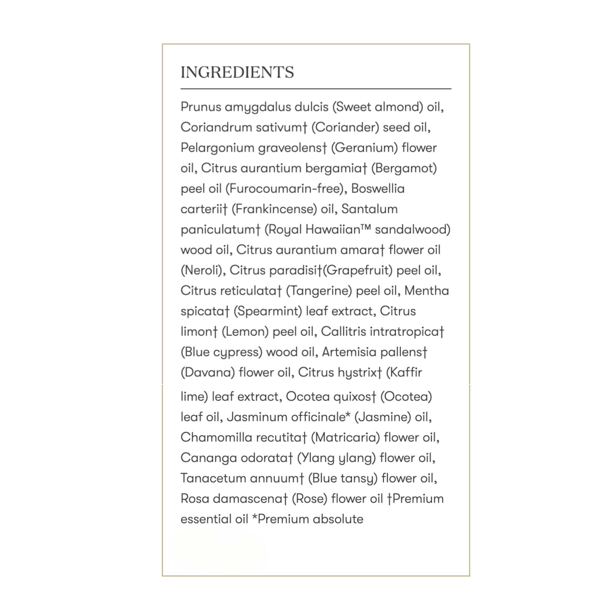 Young Living Acceptance 5ml bottle close-up, premium quality