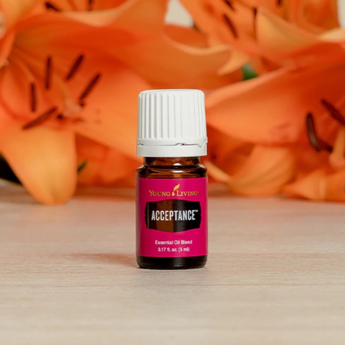 Young Living Acceptance diffuser in a cozy room ready for meditation