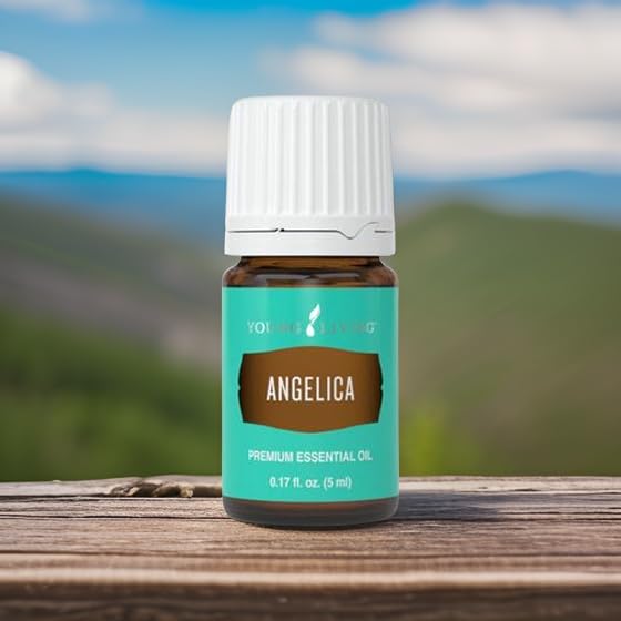 Young Living Angelica Premium Essential Oil packaging showcases premium quality.