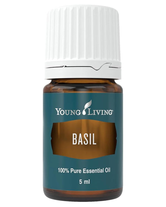 Young Living Basil Essential Oil 5ml bottle closeup for focus and calm aroma