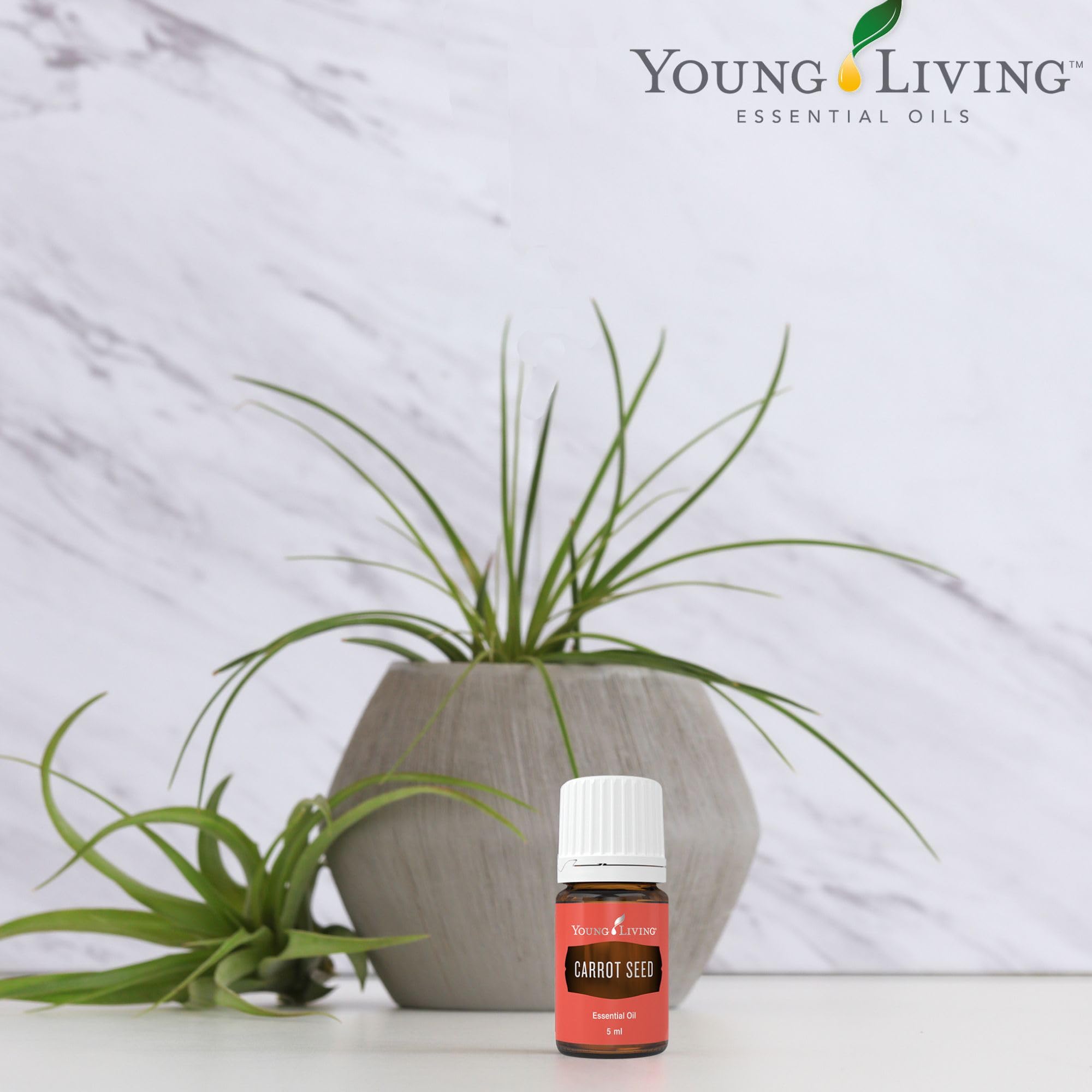 Young Living Carrot Seed Oil label closeup highlights 100% pure Carrot Seed Oil.