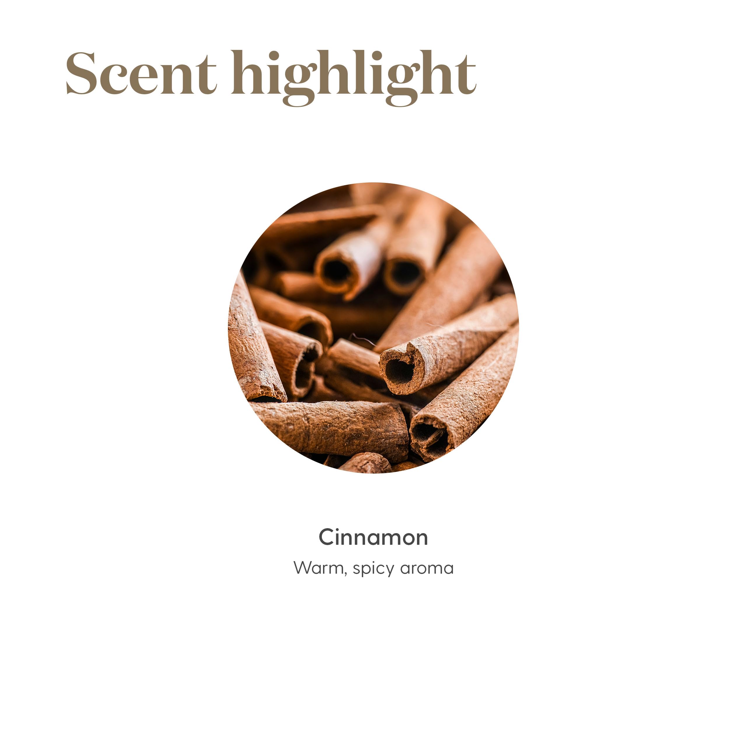 Young Living Cinnamon Bark Vitality highlighted for antioxidant-rich lifestyle support.