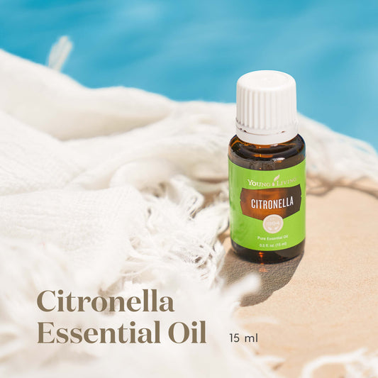 Young Living Citronella with green leaves hint for refreshing outdoor ambiance.