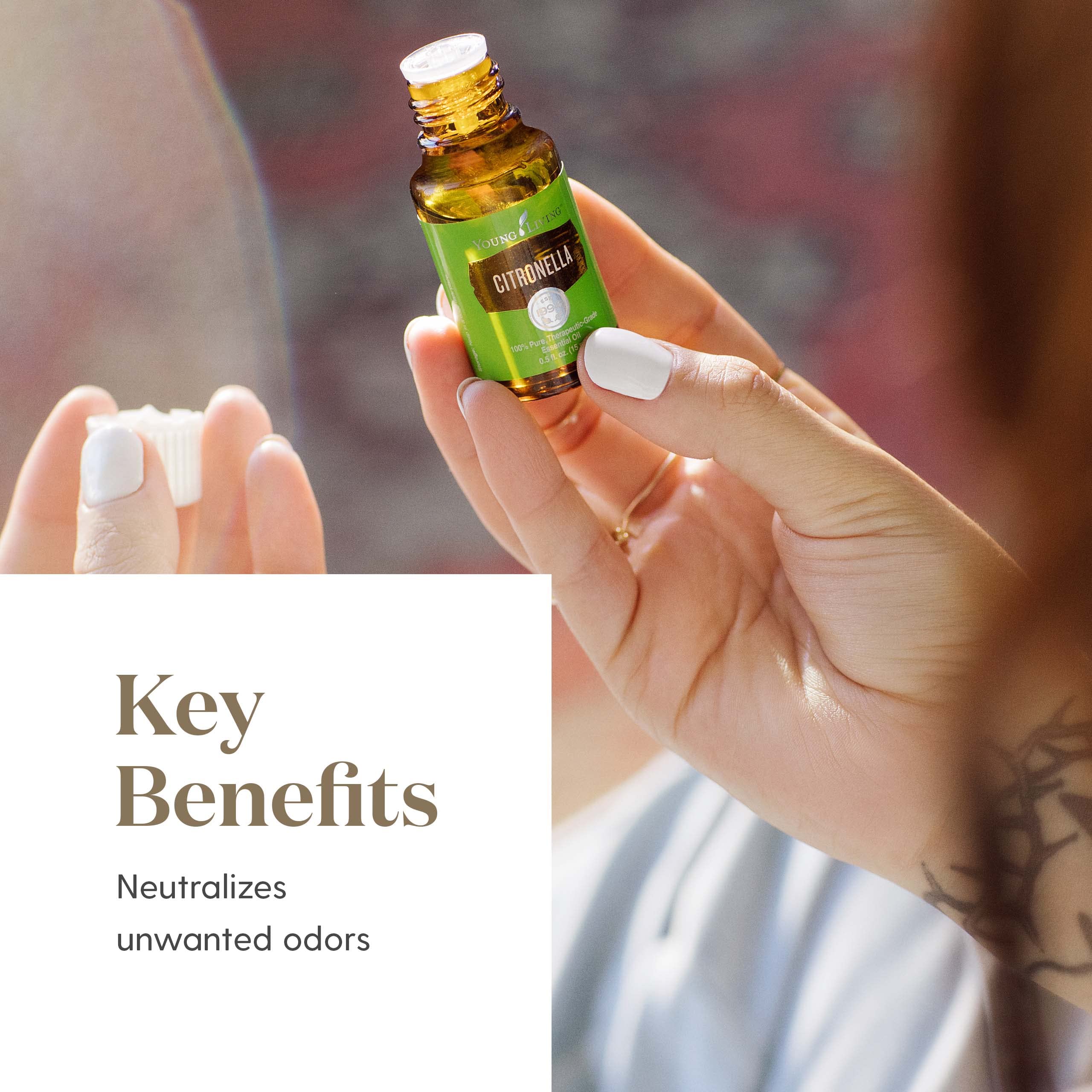 Young Living Citronella blend with lemongrass and cedarwood hint for layered aroma.