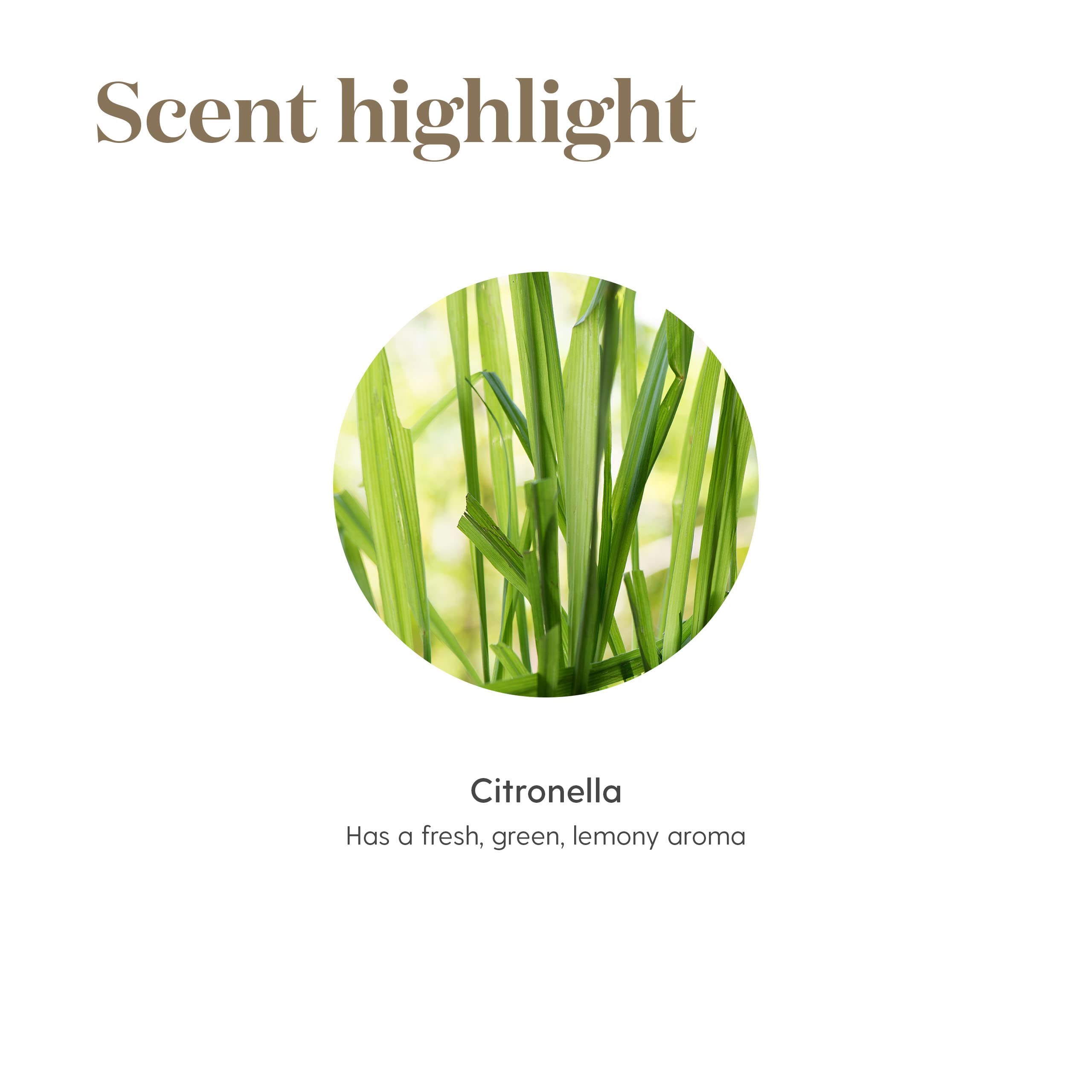 Young Living Citronella on a patio table creating inviting outdoor atmosphere.