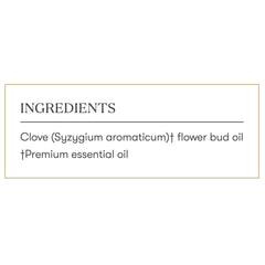 Spice-focused kitchen scene with clove vitality bottle