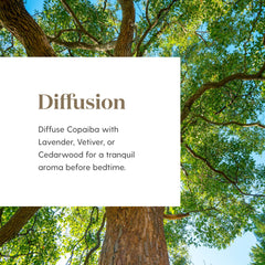 Young Living Copaiba Essential Oil used in skincare routine for vitality and refreshed skin.