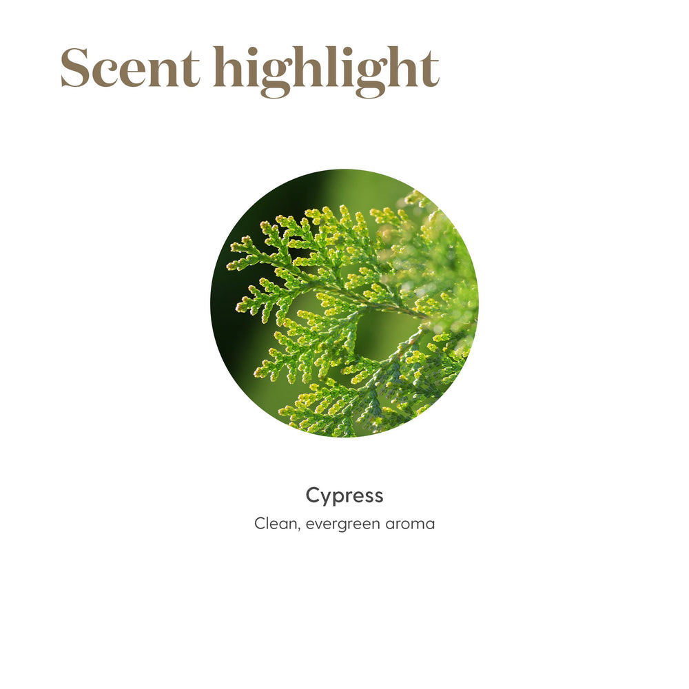 Young Living Cypress Oil pure potent formula for versatile use.