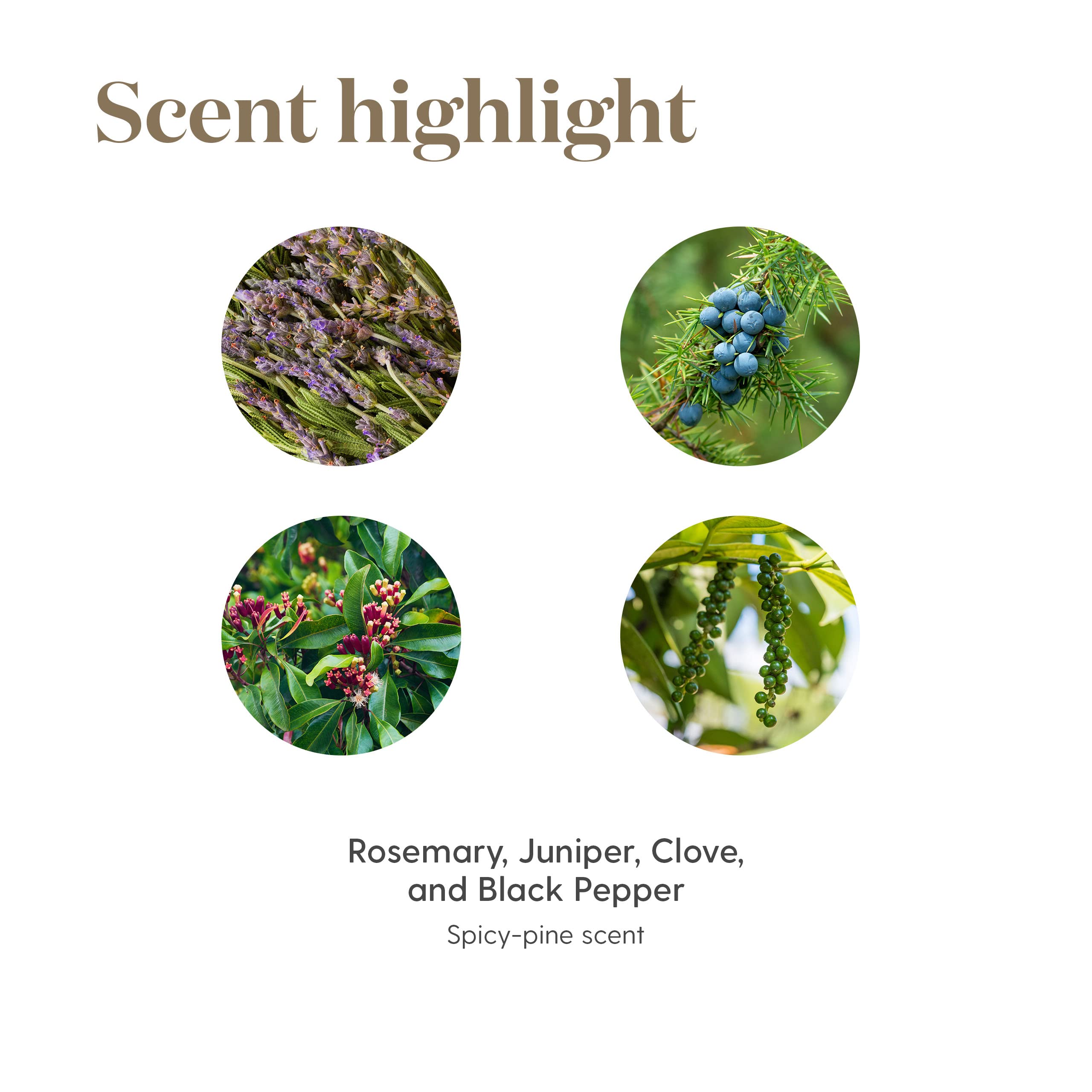 Young Living En-R-Gee label closeup highlighting natural essential oils.