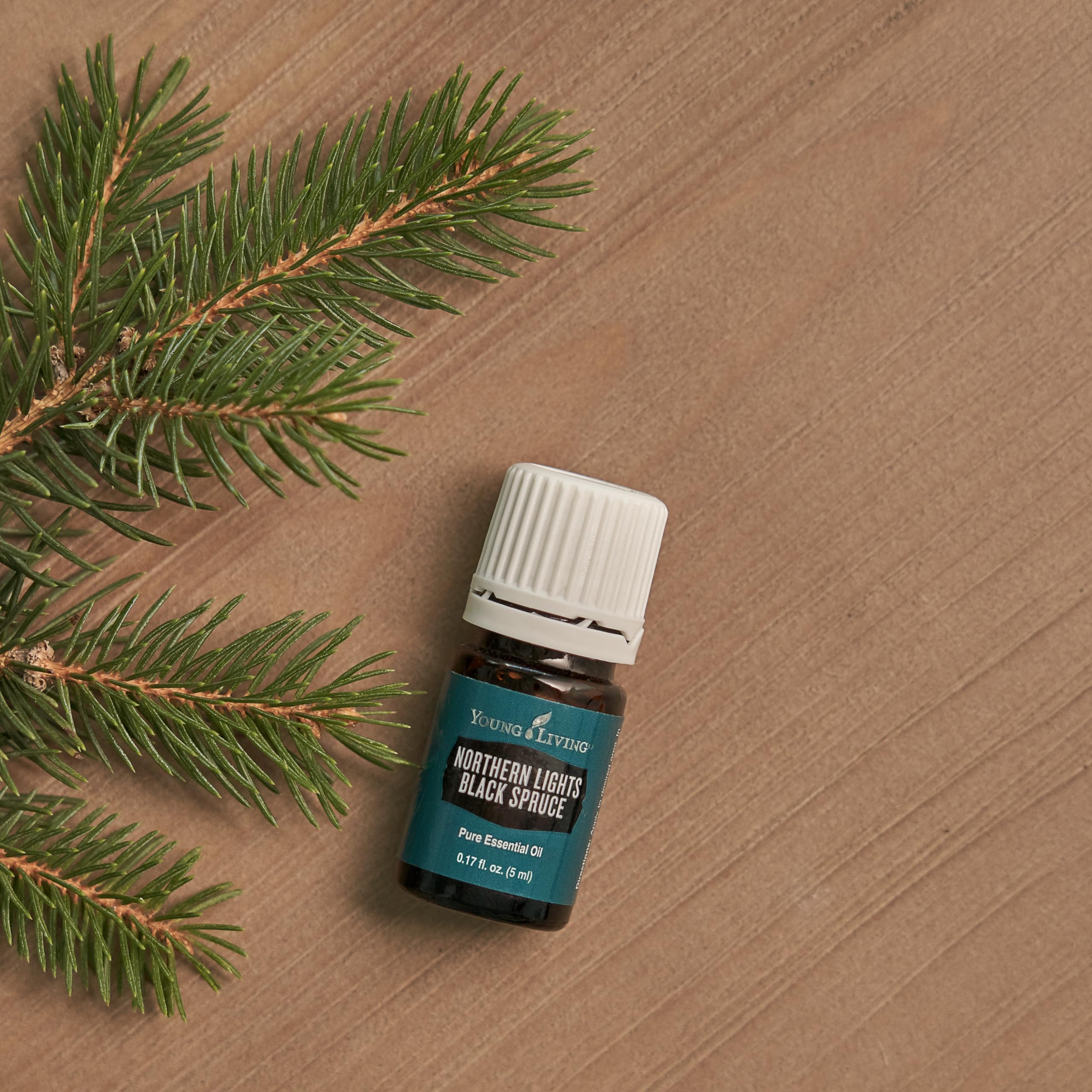 Aromathérapie Terreuse Young Living Épinette noire du nord en diffusion.