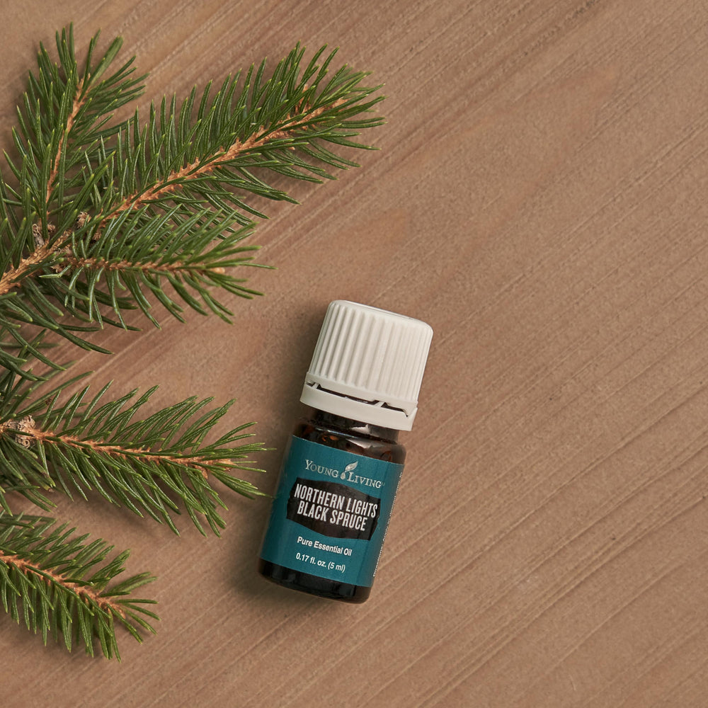 Aromathérapie Terreuse Young Living Épinette noire du nord en diffusion.