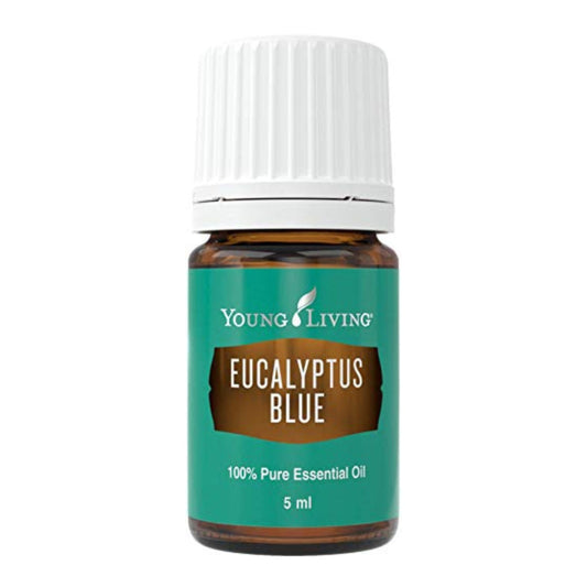 Front view of Young Living Eucalyptus Blue essential oil bottle, 5 ml