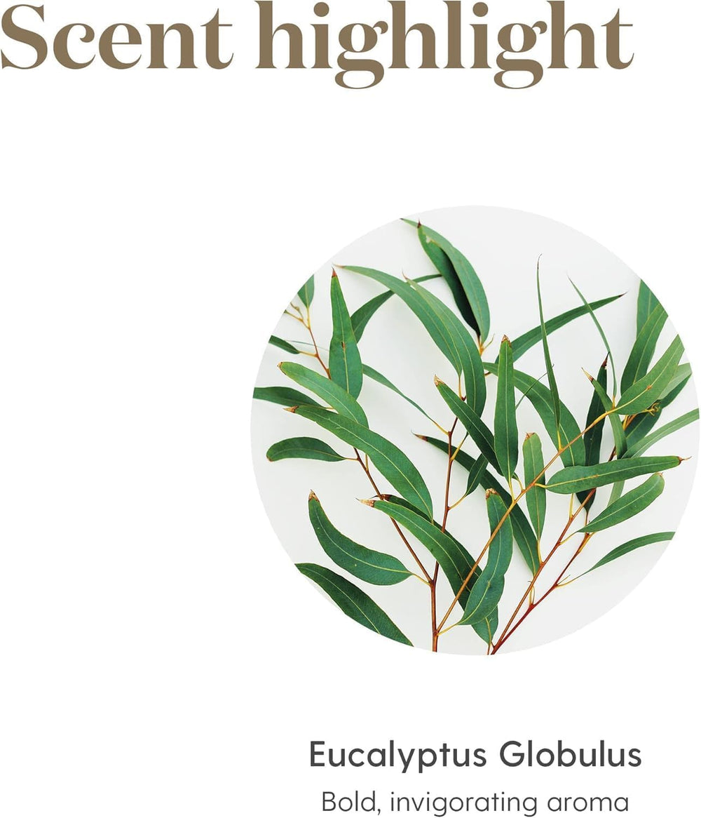 Spa-like massage scene with eucalyptus essential oil