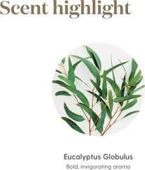 Spa-like massage scene with eucalyptus essential oil