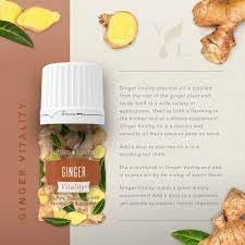 Young Living Ginger Vitality aromatherapy diffuser—spicy, uplifting scent in a calm space