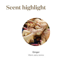 Young Living Ginger Vitality ginger root close-up—fresh essence sparks warm recipes