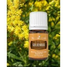 Young Living Goldenrod essential oil dropper closeup for precise custom blends