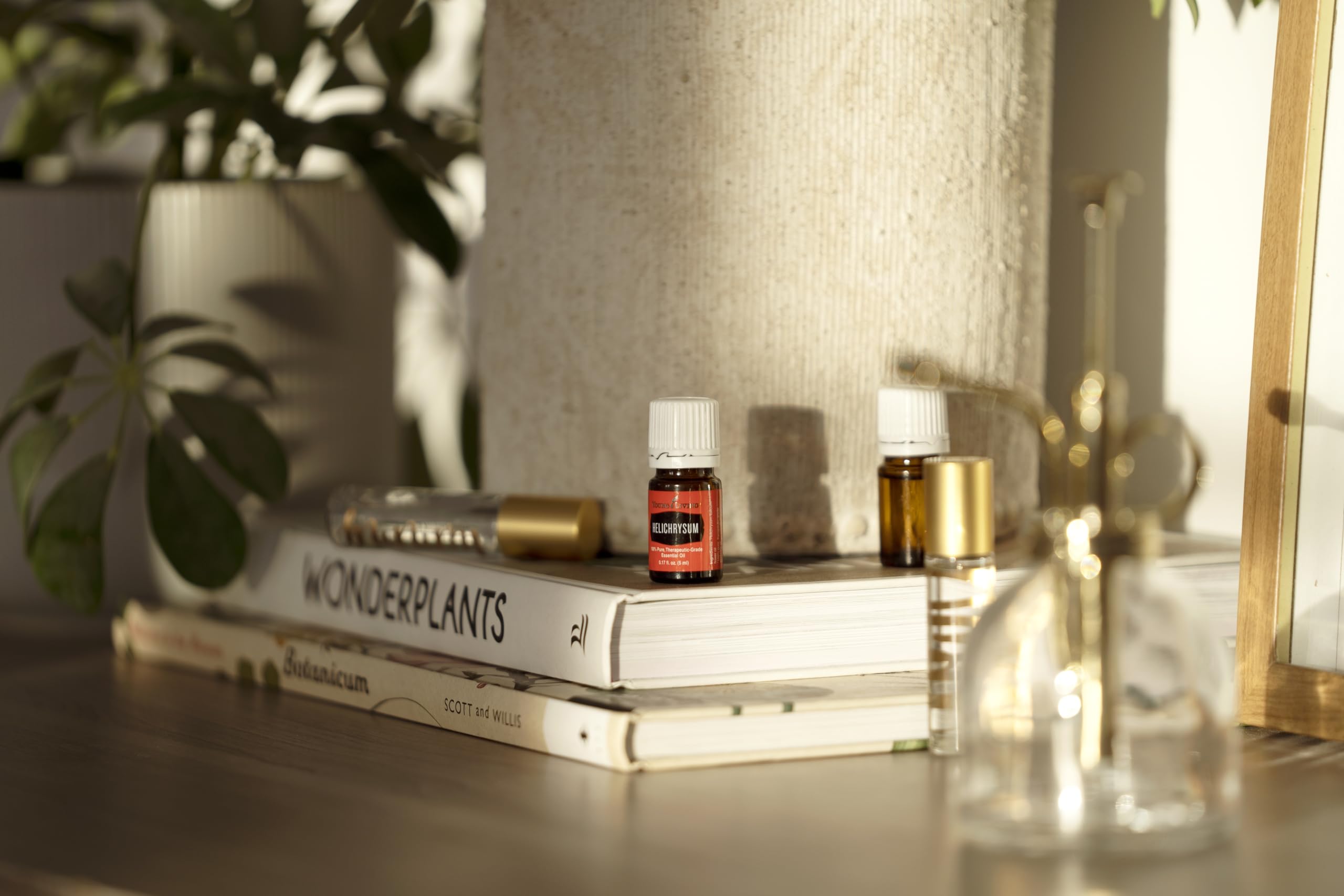 Young Living Helichrysum drops diffuser image indicates calming aroma in space
