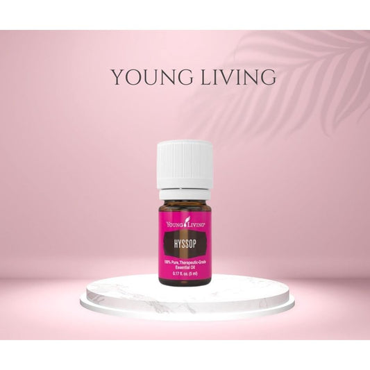 Young Living Hyssop aroma diffuser scene with minty-floral scent for focus