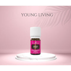 Young Living Hyssop aroma diffuser scene with minty-floral scent for focus