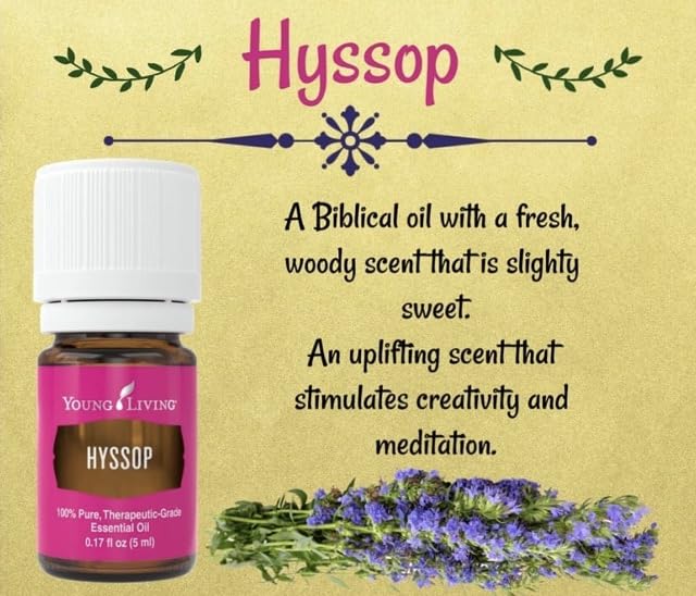 Hyssop bottle closeup by Young Living highlighting minty-floral aroma