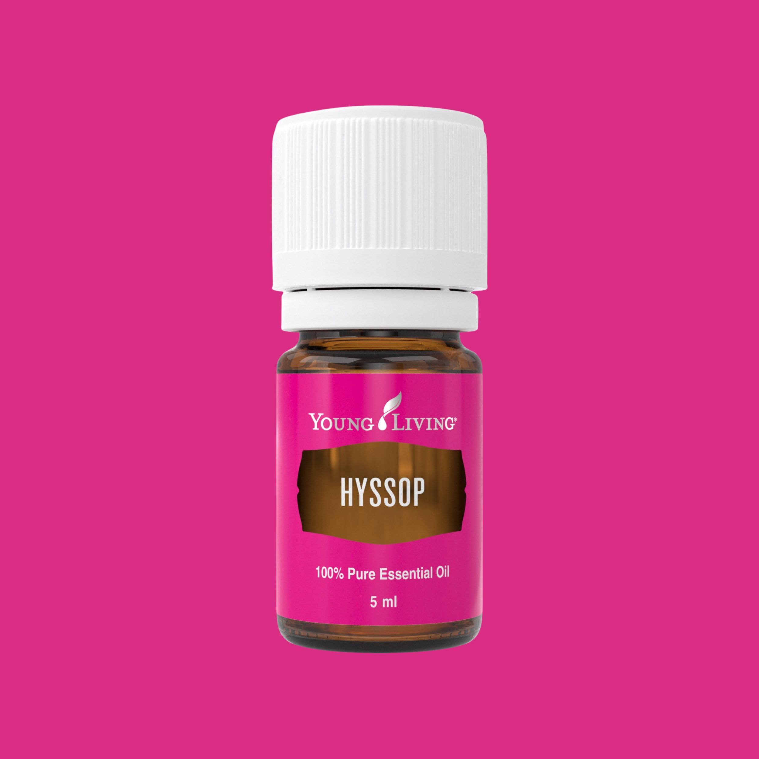 Young Living Hyssop essential oil in diffuser setup for meditation
